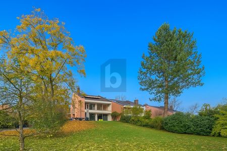 AU COEUR DE LA VERDURE - Photo 3