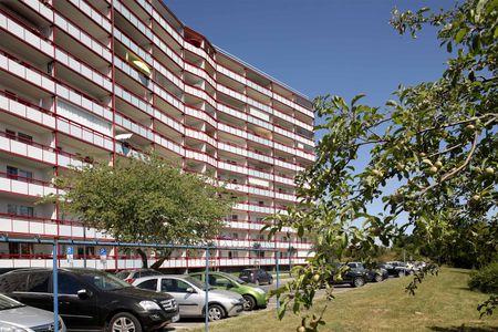 Mit super Ausblick auf den Tollensesee! - Foto 4