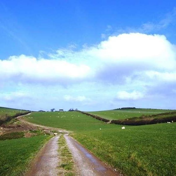 Harbarrow House, Stainton, Near Ulverston, LA13 - Photo 1