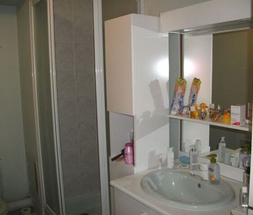 Résidence CHAVANIAC 171 boulevard Lafayette, 63000, Clermont-Ferrand - Photo 2