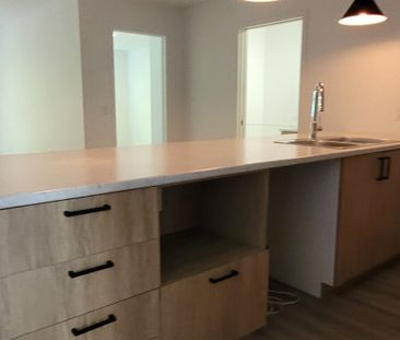 303-1162 Rue Papineau - Photo 2