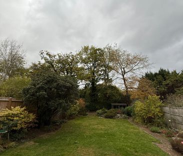 Redhatch Drive - Photo 4