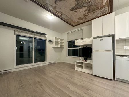 Bachelor Suite For Rent In Surrey/ Pets Allowed. - Photo 3