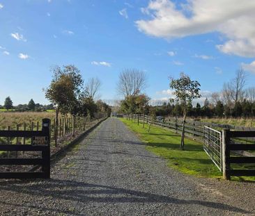 29 Mokena Street, Manakau - Photo 4
