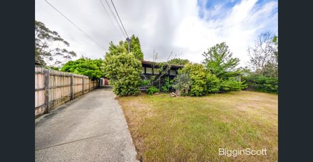Spacious & Freshly Updated Home in a Quiet Rowville Location - Photo 4