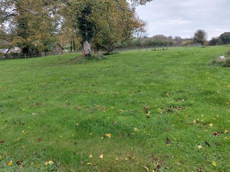 Muston Farm, Piddlehinton - Photo 2