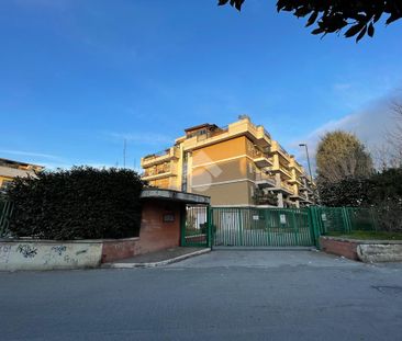 Trilocale in affitto - Photo 1