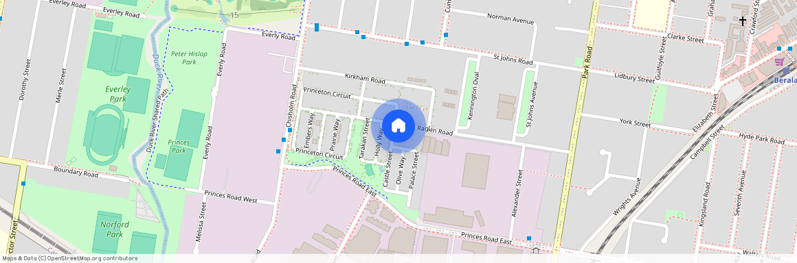 46 Raglan Road, NSW 2144, Auburn