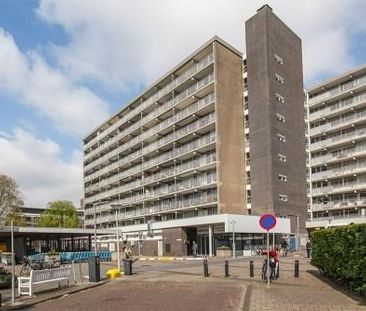 Volendamlaan 0ong, 2547 CH Den Haag, Nederland - Photo 1