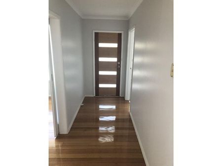 Neat & Modern 3-Bedroom Home with Low Maintenance Yard - Photo 2