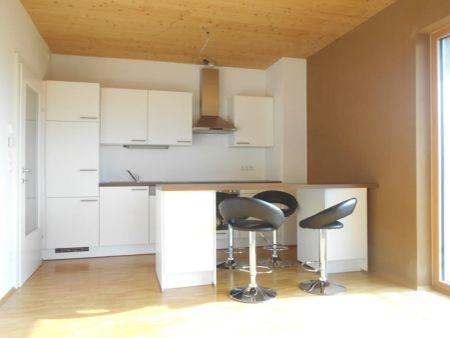 Peter Rosegger GARTEN-Terrasse>140m² 3ZI sonnig,ökologisch,familienfreundlich - Foto 5