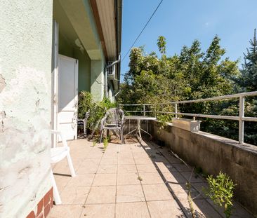Kiadó családi ház, H509815 - Fotó 3