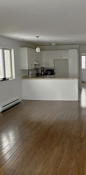 Bord De L’eau à Louer à Ste-Geneviève - Photo 2