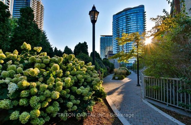 For Lease - 9 Windermere Avenue Unit# TH99, Toronto, Ontario - Photo 1