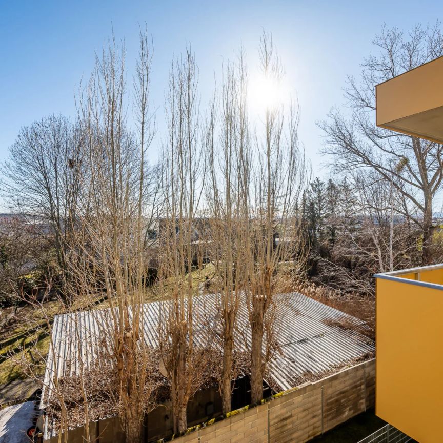 VIDEOTOUR: ab sofort freundliche, helle 3 Zimmer Erstbezugswohnung + Balkon + 2 Parkplätze mieten, später kaufen! - Foto 1