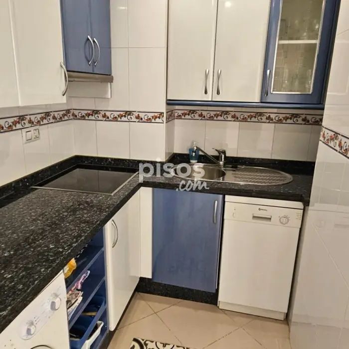 Piso en alquiler en Avenida de Carlota Alessandri, 101, cerca de Calle Pez Espada - Photo 1