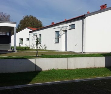 Lejongatan 13A - Photo 5