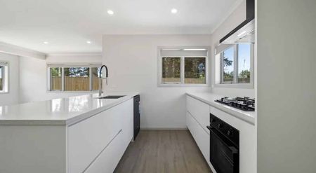 Stunning on Noni Street! - Photo 4