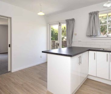 Newly Renovated Summer Living - Photo 4