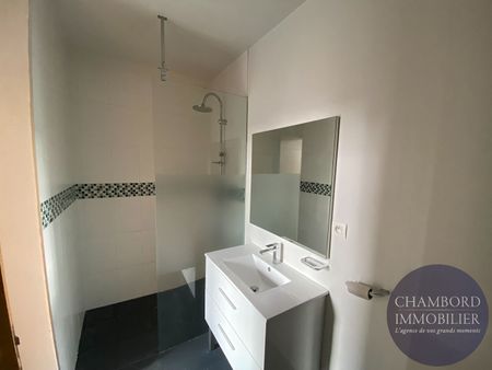 Appartement T2 loué à Blois : un bien d'exception dans un hôtel particulier Renaissance classé - Photo 5