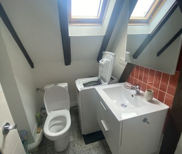 Location Appartement 3 pièces 53m² SCHILTIGHEIM 67300 - Photo 5