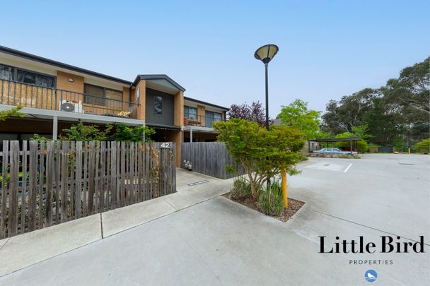 41/35 Tay Street, Watson ACT 2602 - Apartment For Rent | Domain - Photo 1