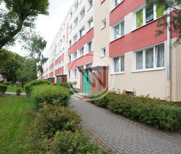 M-3 ZAZAMCZE UL RAJSKA NAJEMCA NIE PŁACI PROWIZJI DLA BIURA - Photo 5