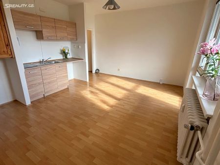 Pronájem bytu 1+kk 29 m² - Photo 5