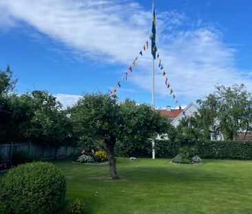 Lärkstigen, Domsten - Foto 3