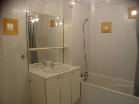 Appartement 2 pièces à louer St Romain le Puy - 42610 / Réf: 381 - Photo 3