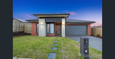 A quality Metricon build - Photo 5