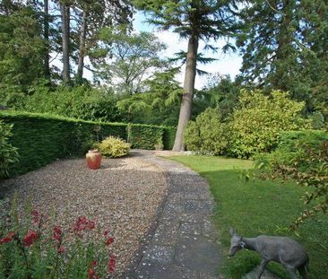 4 bedroom semi-detached house to rent - Photo 3