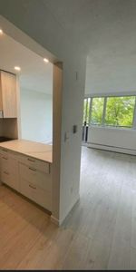 525 West 13th Avenue - Photo 3