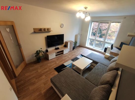 Pronájem bytu 2+1 v družstevním vlastnictví 55 m², Most - Fotografie 1