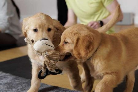 Coppermaker Square, Stratford, E20 - Photo 2