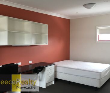 SELF CONTAINED STUDIOS - Photo 2