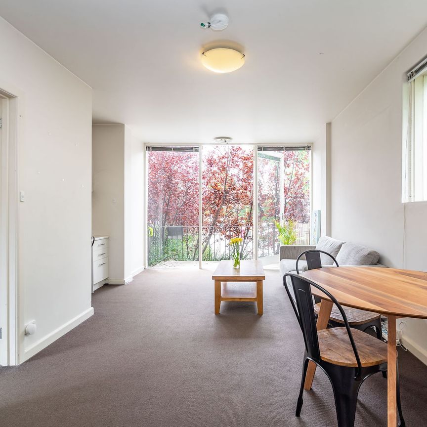 Unit 15/259 Domain Road, - Photo 1