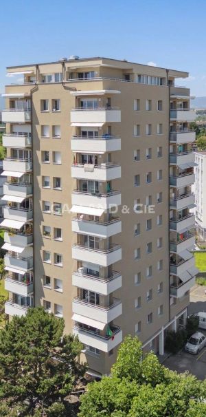 Appartement 1 pièce au rez-de-chaussée - Photo 1