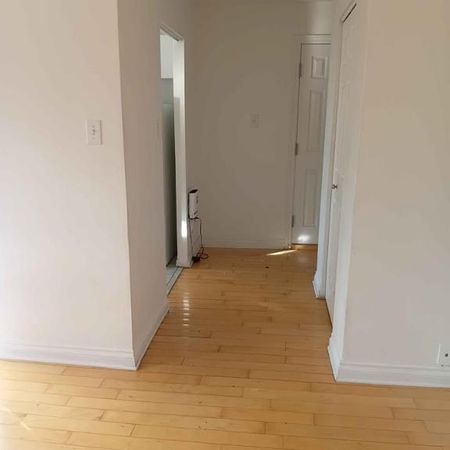 1 Bed 1 Bath Apartment - Photo 4