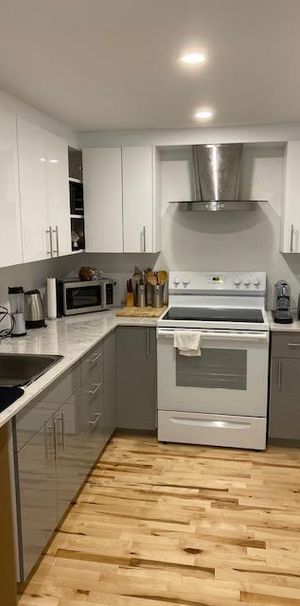 METRO JARRY-CREMAZIE-4.5-ELECTROS-CONCEPT OUVERT-BOIS FRANC-CERAMIQUE-TERRASSE-ÉCLAIRÉ-LUMIERES ENCASTREES-QUARTZ - Photo 1