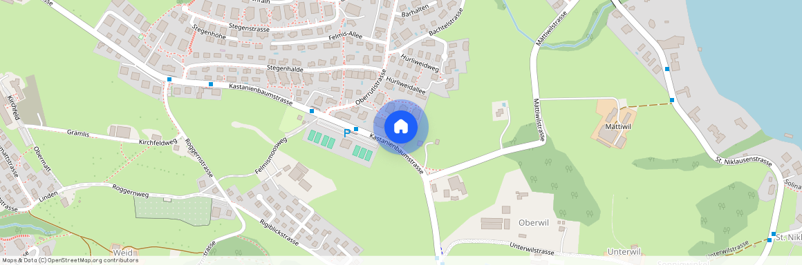 Oberrütistrasse 6, 6048 Horw