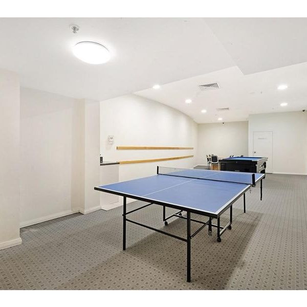 FULLY FURNISHED 1 bedroom apartment with Parking and Storage SYDNEY CBD - Photo 1