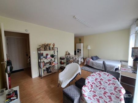 Appartement à louer, 1 pièce - Angers 49100 - Photo 4