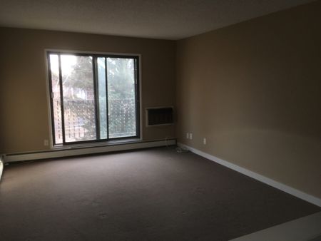 2318 Arlington Ave - 1 Bedroom In Clean Quiet Building Available for January 1, 2025 - Photo 2