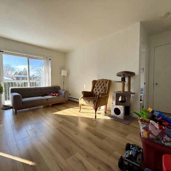 Appartement 3 ½ à louer Lévis juillet 2026 - Photo 1