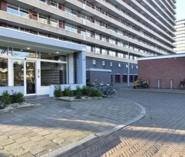 Apartment Delft - Hendrik Tollensstraat - Foto 3