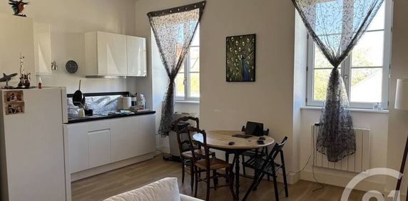 Appartement 2 pièces - Châteauroux (36000) - Photo 2