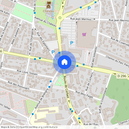 STE GENEVIEVE DES BOIS (91700)