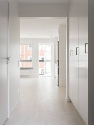 Malmö - 1rok - tillsv - 10.350kr/mån - Foto 1