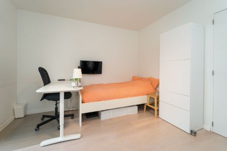 Prachtig en ruim huis met vier terrassen en bureelruimte in hartje Gent - Foto 3